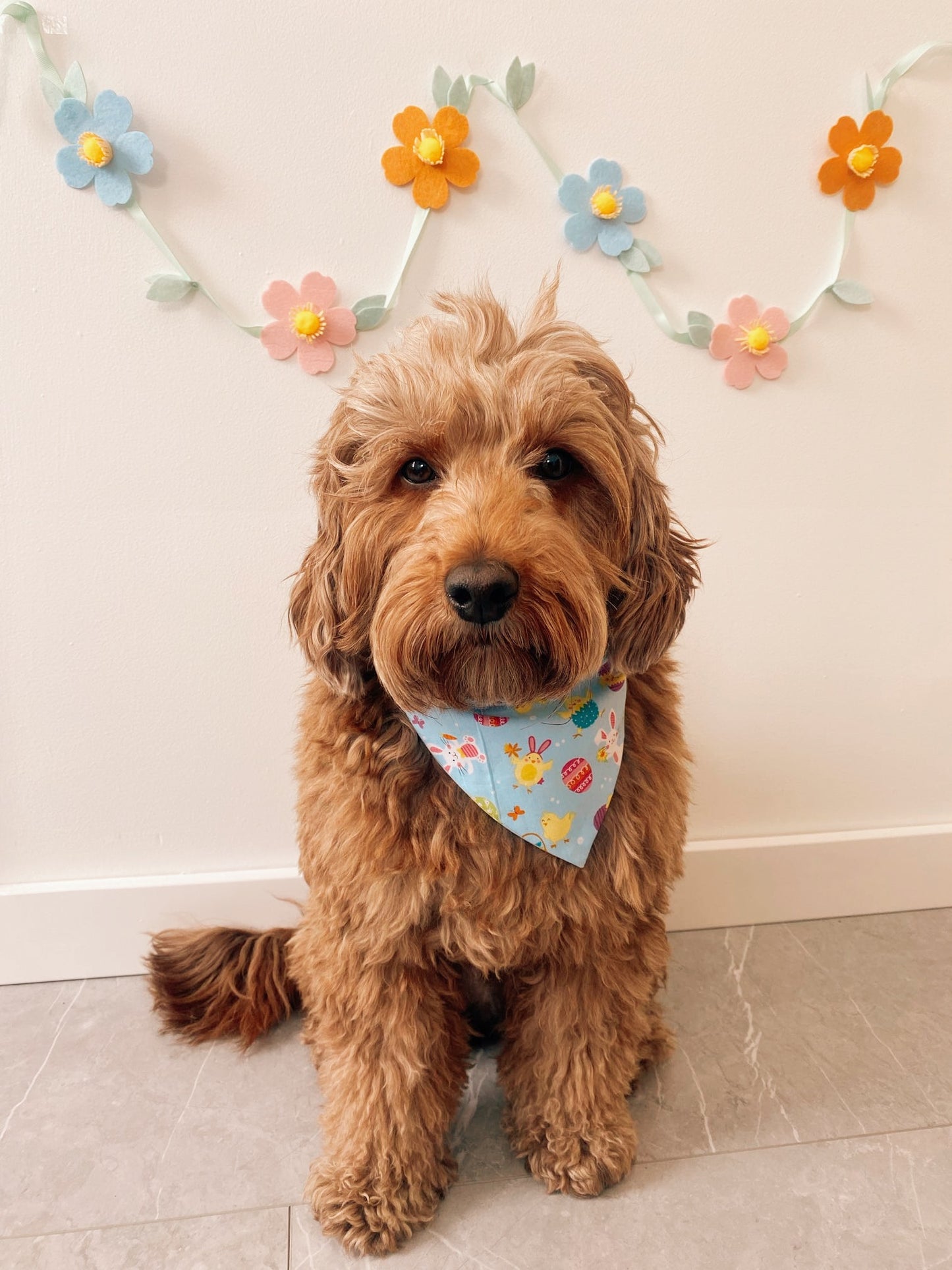 Easter Basket Dog Bandana