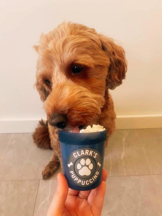 Custom Pup Cups