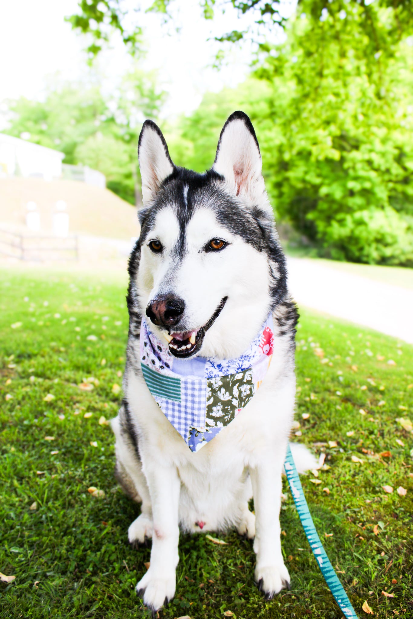 Cottage Bloom Patchwork Dog Bandana