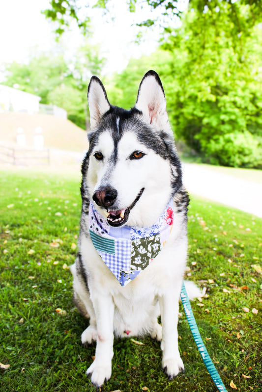 Cottage Bloom Patchwork Dog Bandana