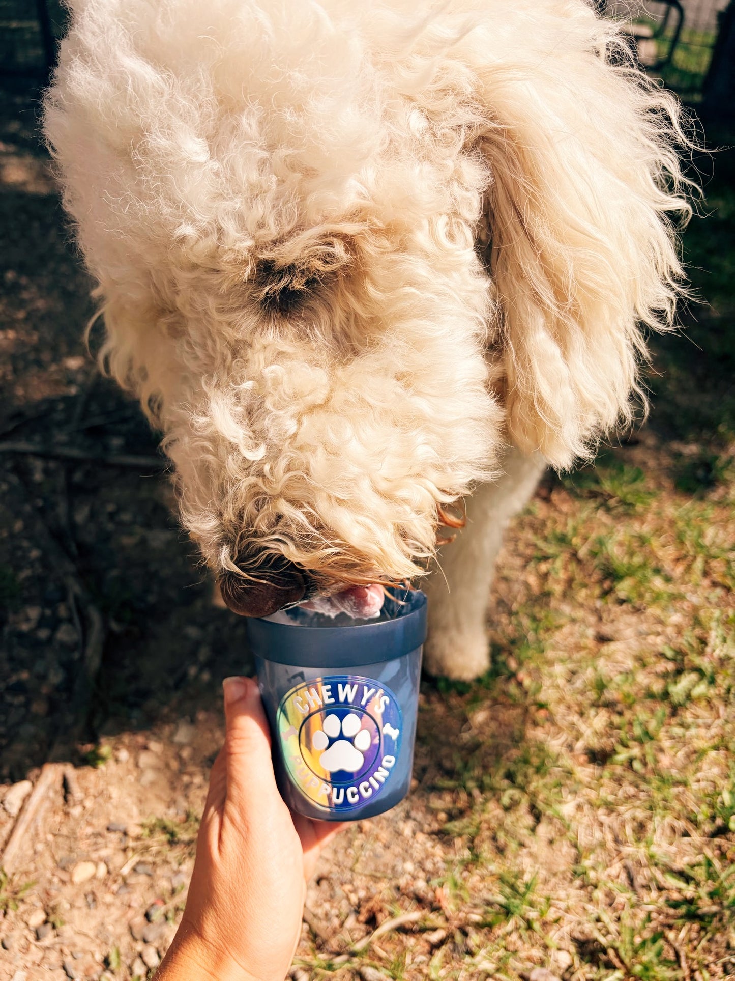 Custom Pup Cups