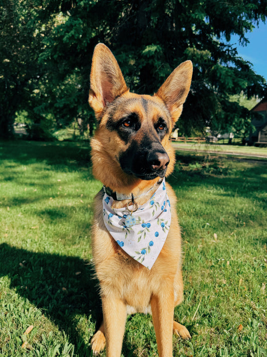 Berry Sweet Blooms Dog Bandana