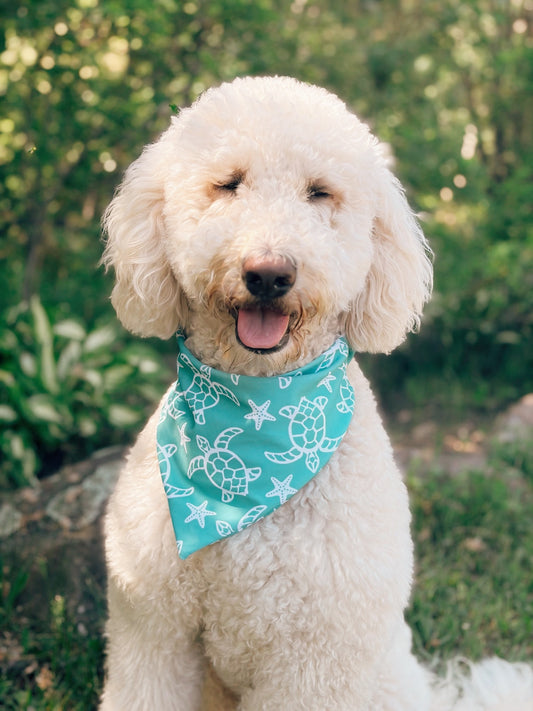 Turtle Tides Swim Bandana
