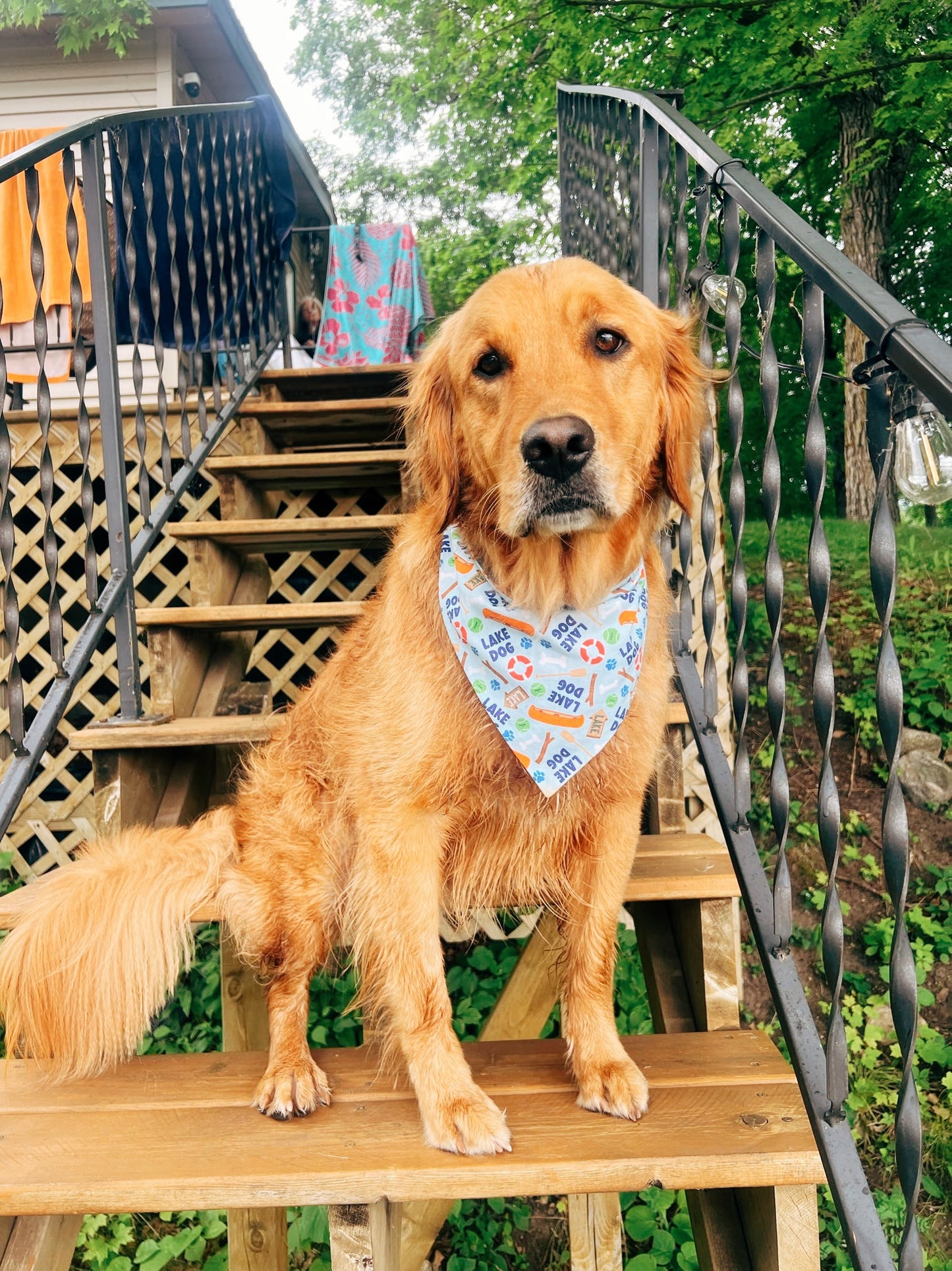 Lake Dog Bandana