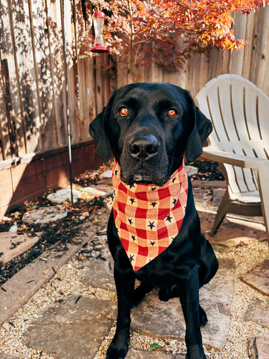 Freedom Plaid Dog Bandana