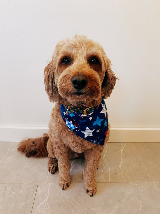 Stars & Stripes Dog Bandana