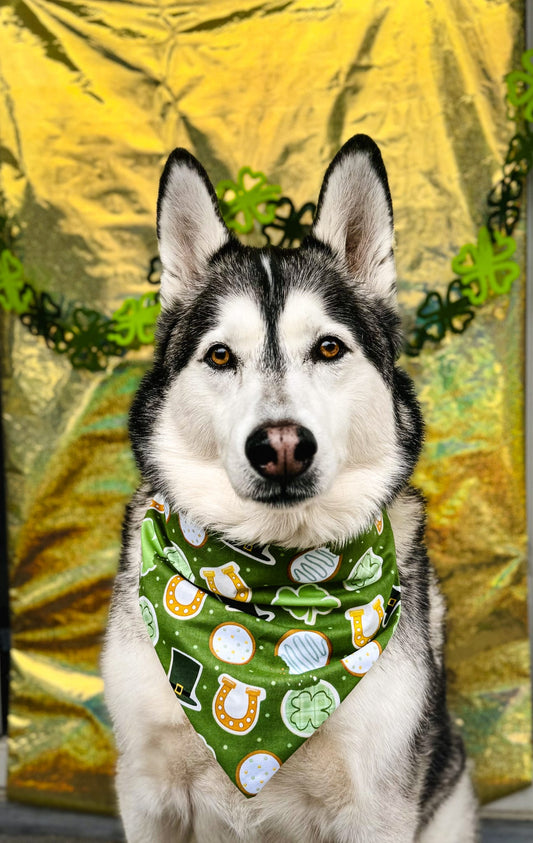 Lucky Charm Dog Bandana