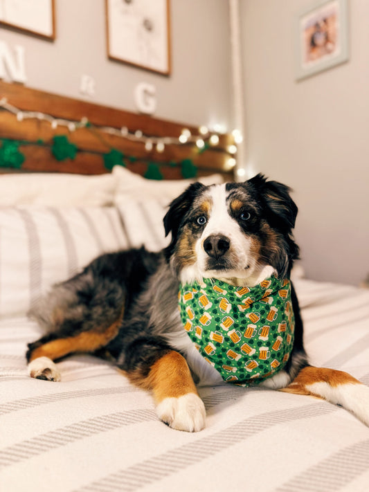 Paws & Pints Dog Bandana