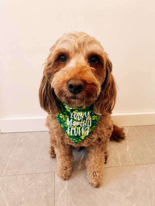 Lucky Motha Fluffa Dog Bandana