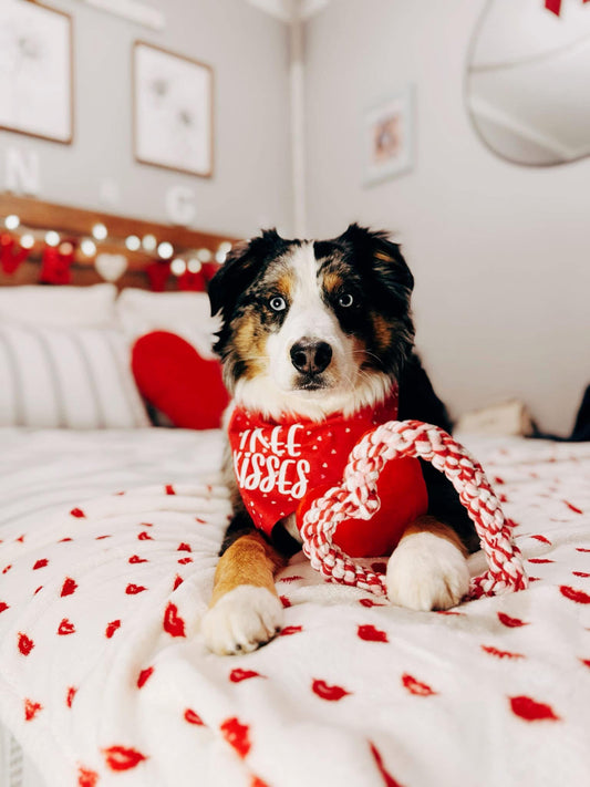 Free Kisses Dog Bandana