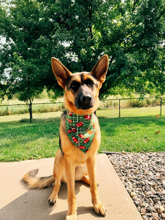 Touchdown Dog Bandana