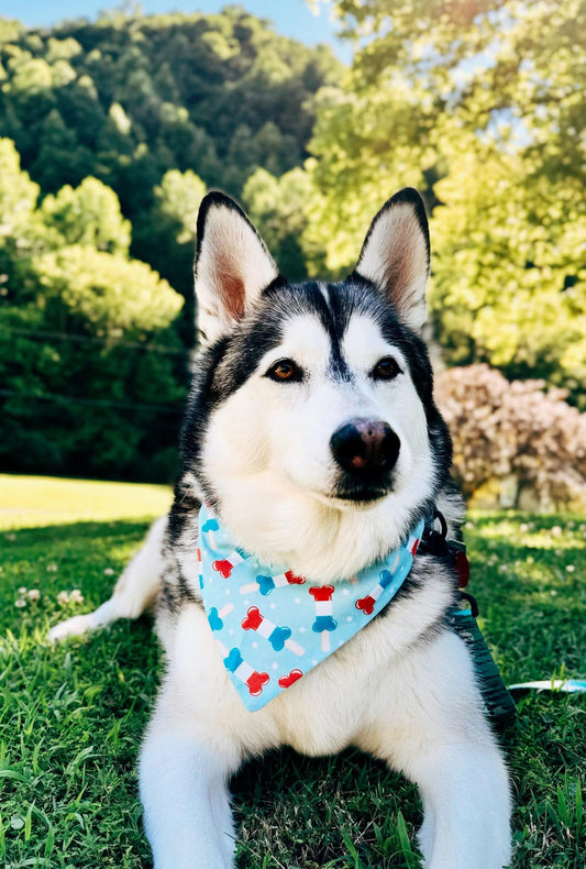 Bomb Pup Dog Bandana