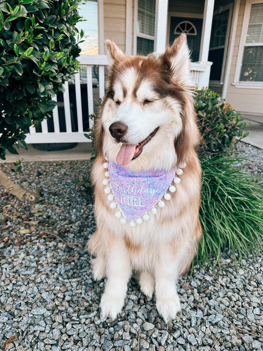 Birthday Girl Dog Bandana