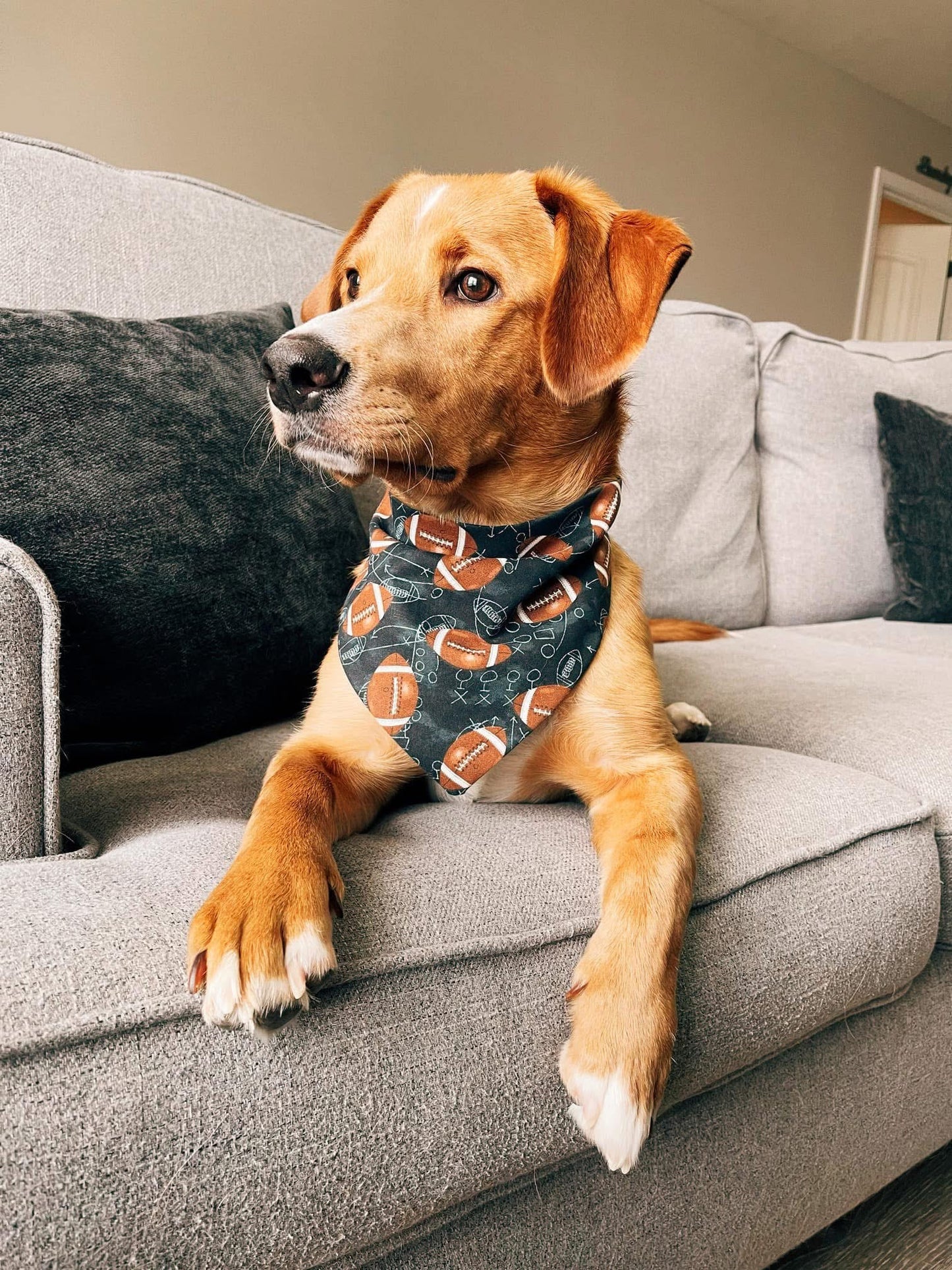 Game Plan Dog Bandana