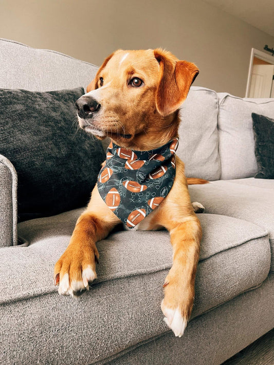Game Plan Dog Bandana