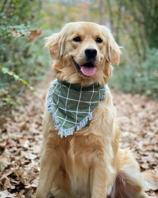Green Plaid Frayed Dog Bandana