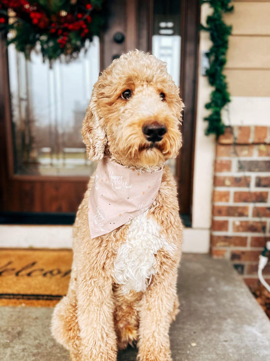 Happy New Year Dog Bandana