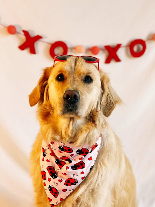 Love Bug Dog Bandana