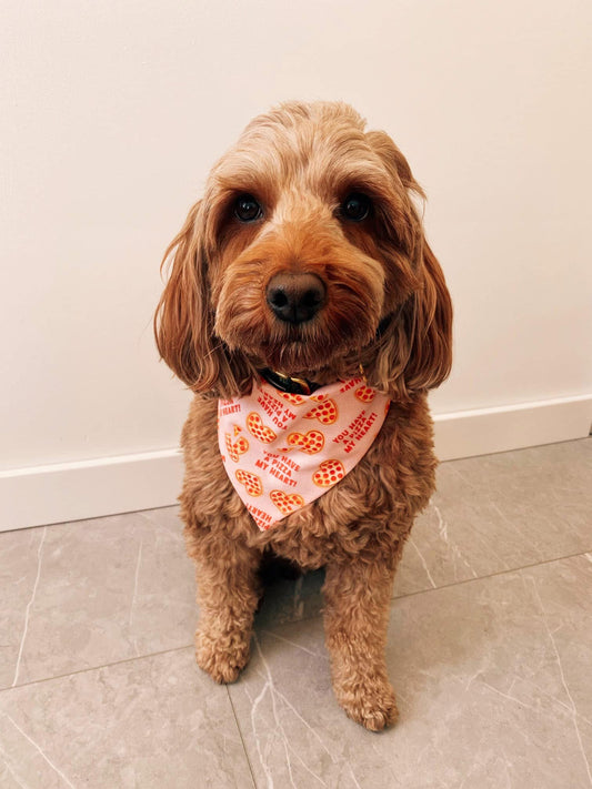 Pizza My Heart Dog Bandana