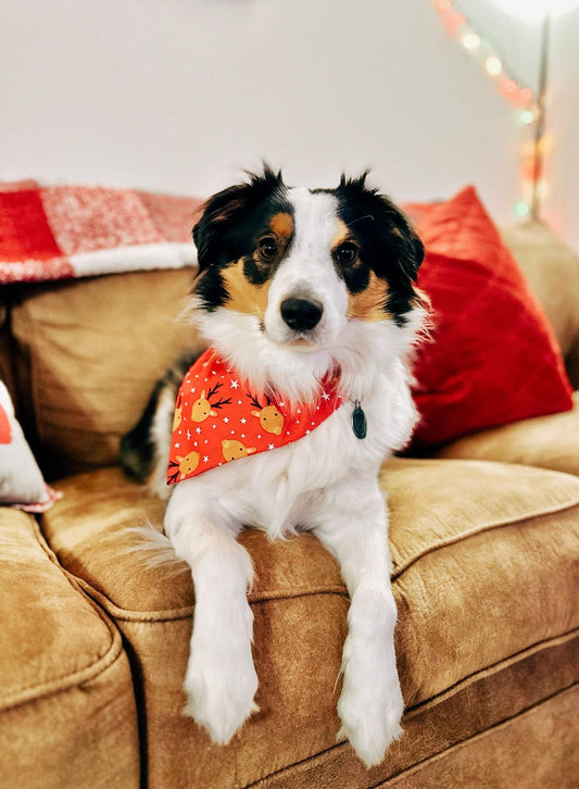 Santa’s Reindeers Dog Bandana