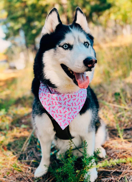 Breast Cancer Awareness Dog Bandana