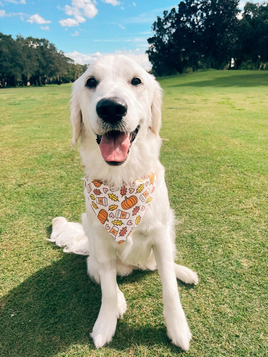 Pupkin Spice Dog Bandana
