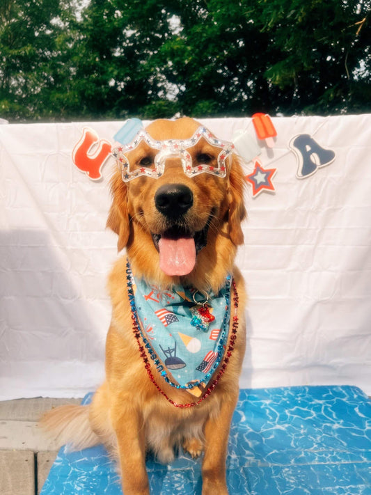 Red, White, & BBQ Dog Bandana