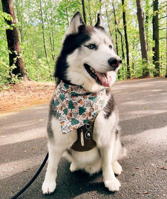 Gimme S’mores Dog Bandana