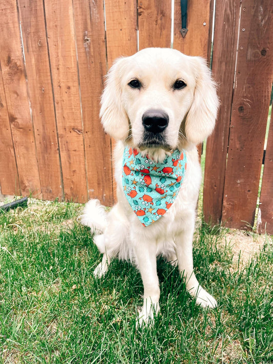 Don’t Be Crabby Dog Bandana