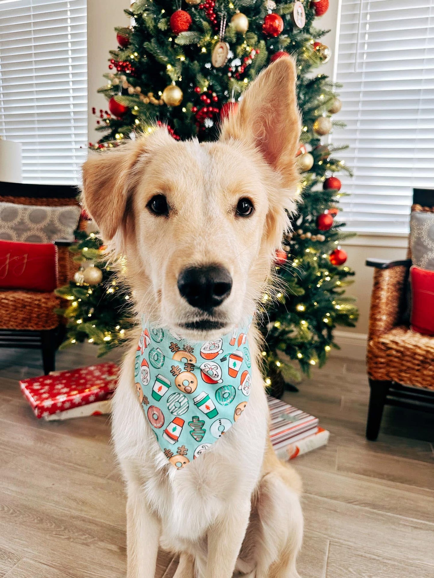 Oh Holey Night Dog Bandana