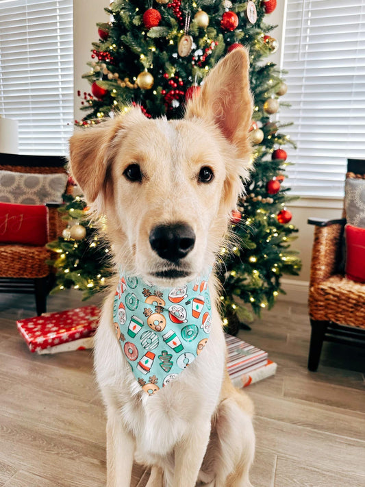Oh Holey Night Dog Bandana