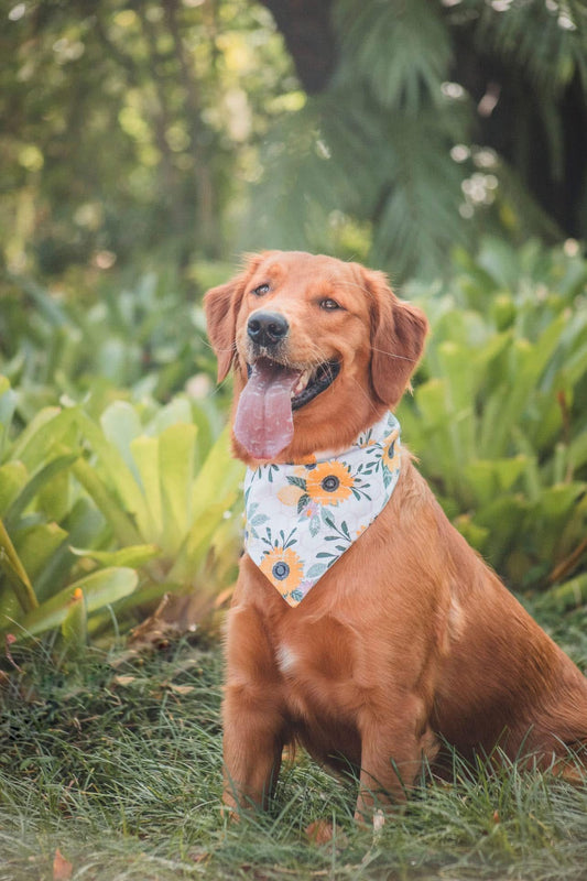 Flower Child Dog bandana