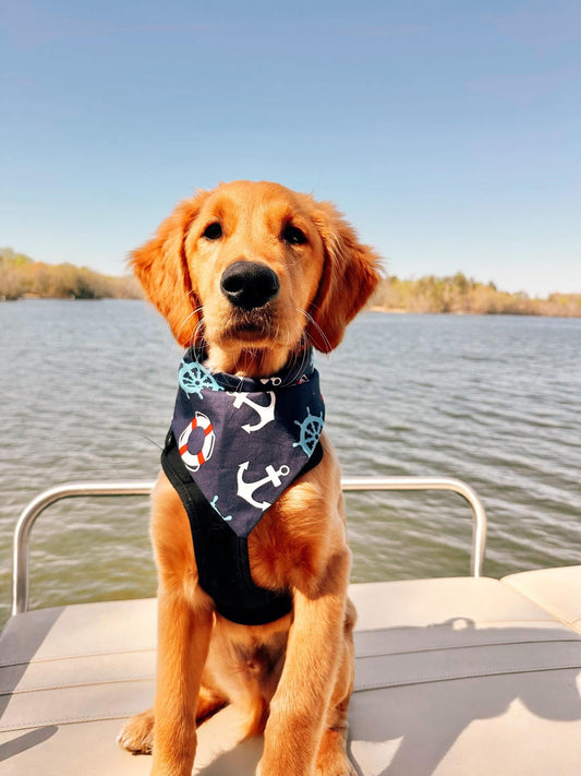 Aye Captain Dog Bandana