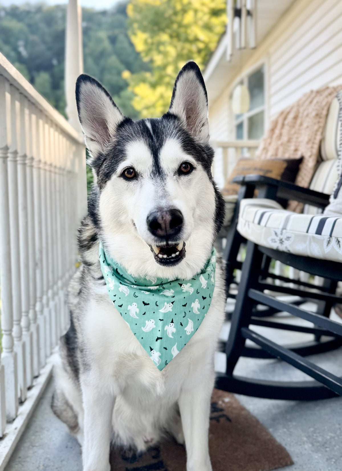 Ghostly Glow Dog Bandana