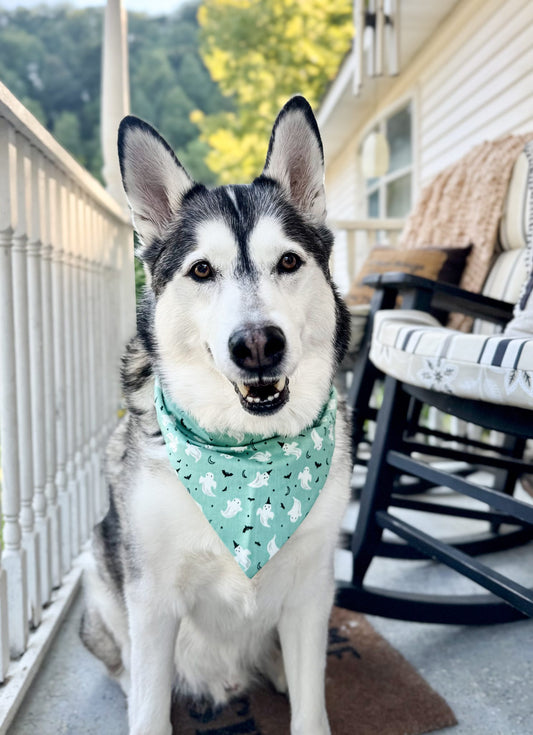 Ghostly Glow Dog Bandana