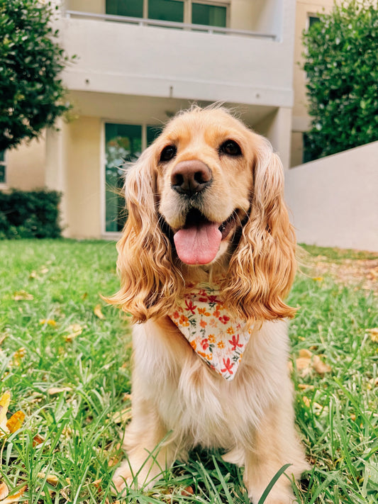 Spring Bliss Dog Bandana