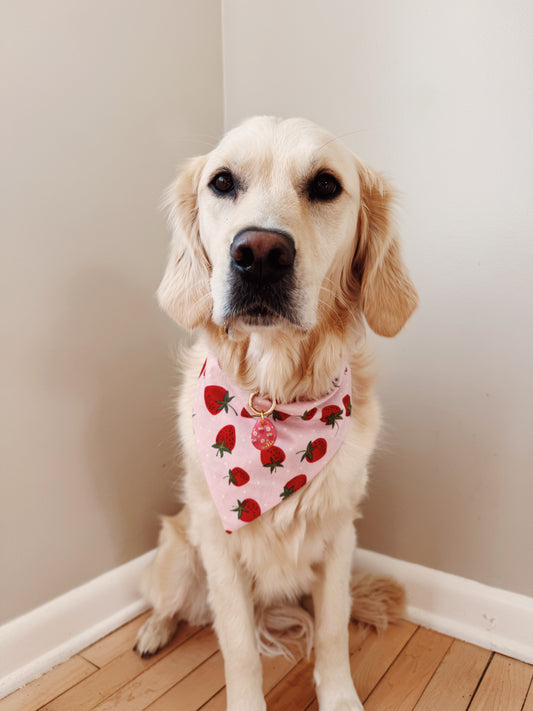 Strawberry Sweetie Dog Bandana