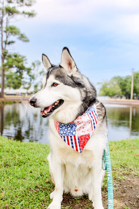 Americana Dog Bandana