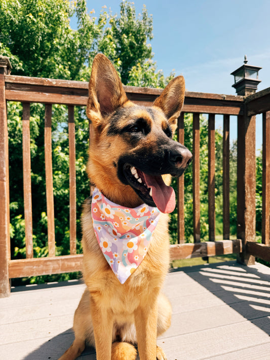 Groovy Babe Swim Bandana