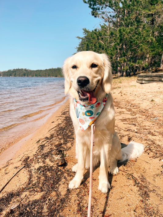 Under The Sea Swim Dog Bandana