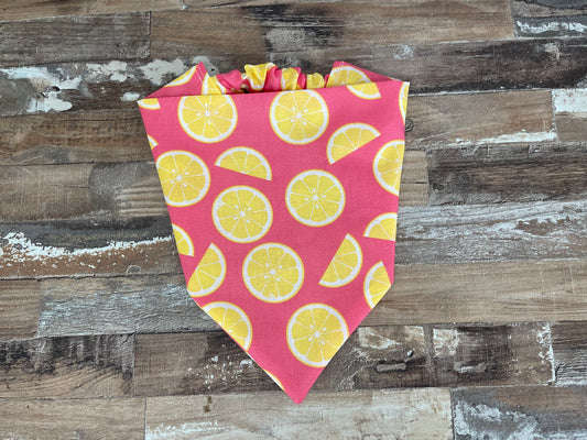 Main Squeeze Scrunchie Dog Bandana