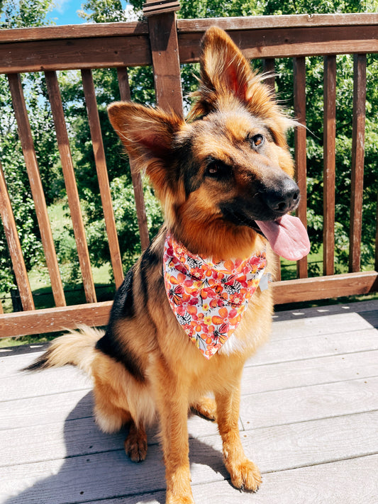 Coral Sketched Floral Dog Bandana