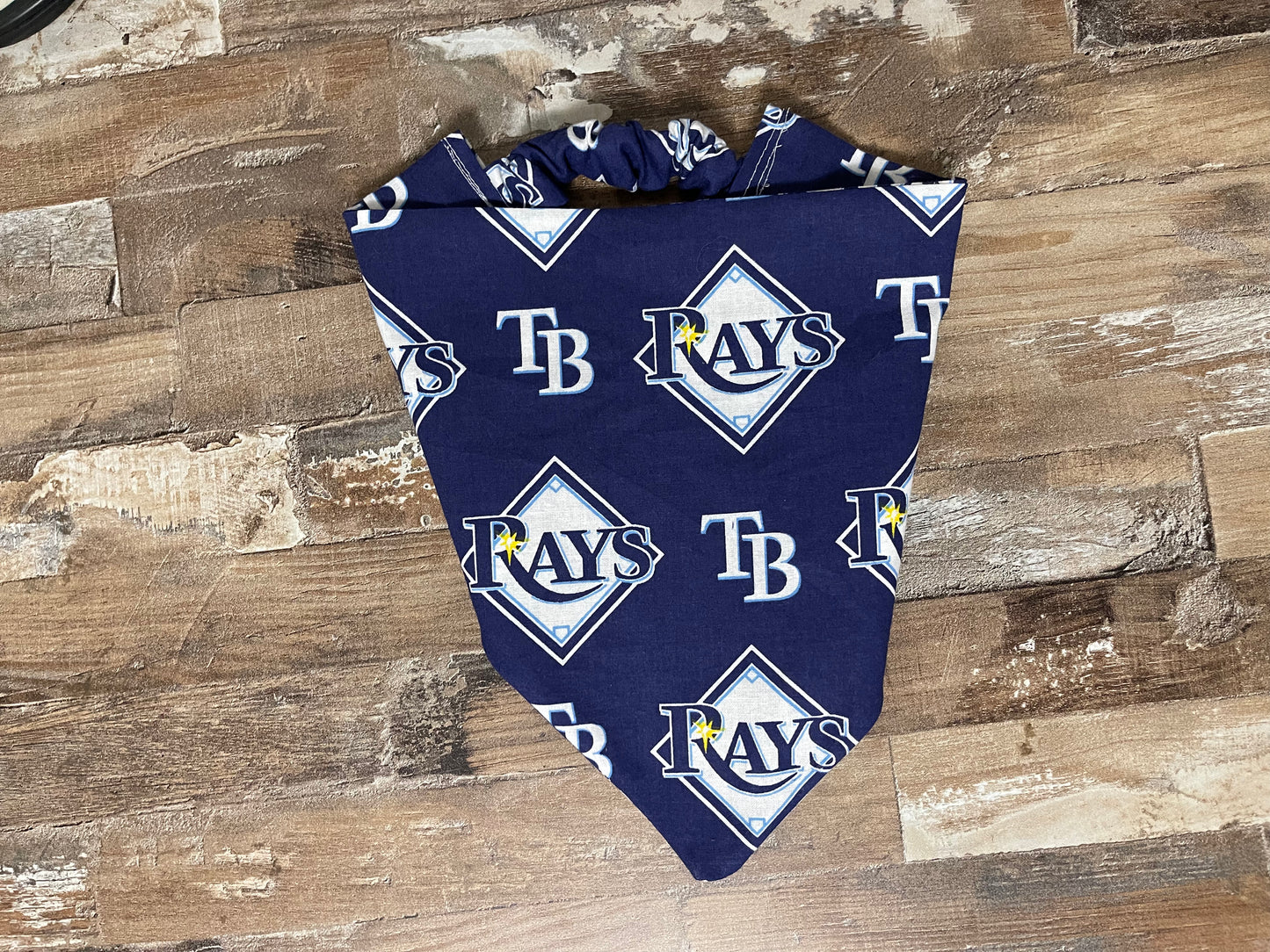 Tampa Bay Rays Bandana