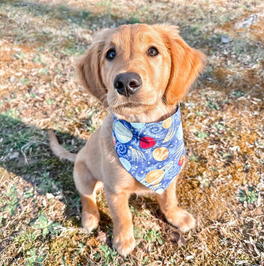 Glitter Planets Scrunchie Dog Bandana
