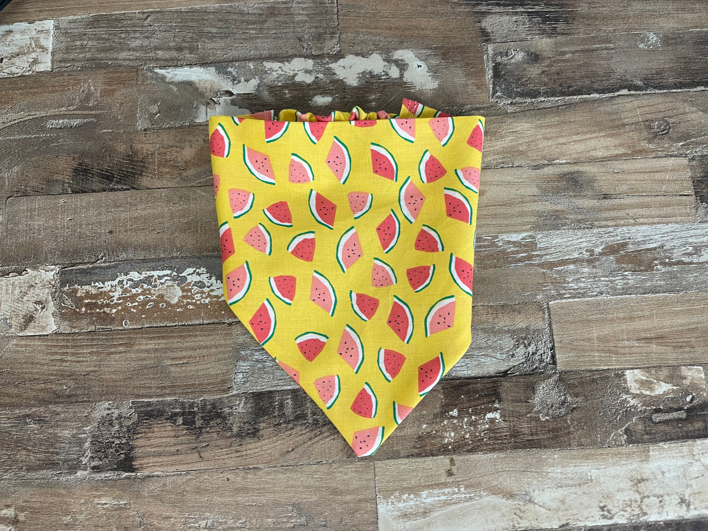 Melon Crush Dog Bandana