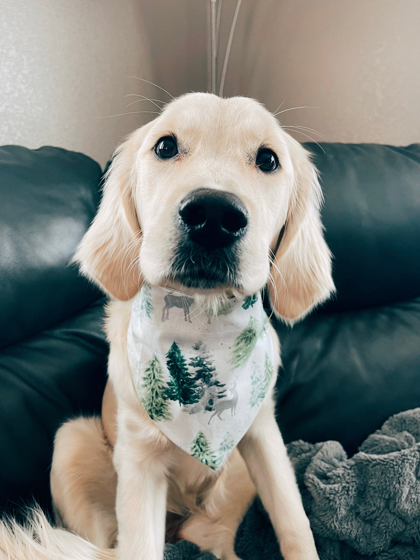 Winter Wonderland Scrunchie Dog Bandana